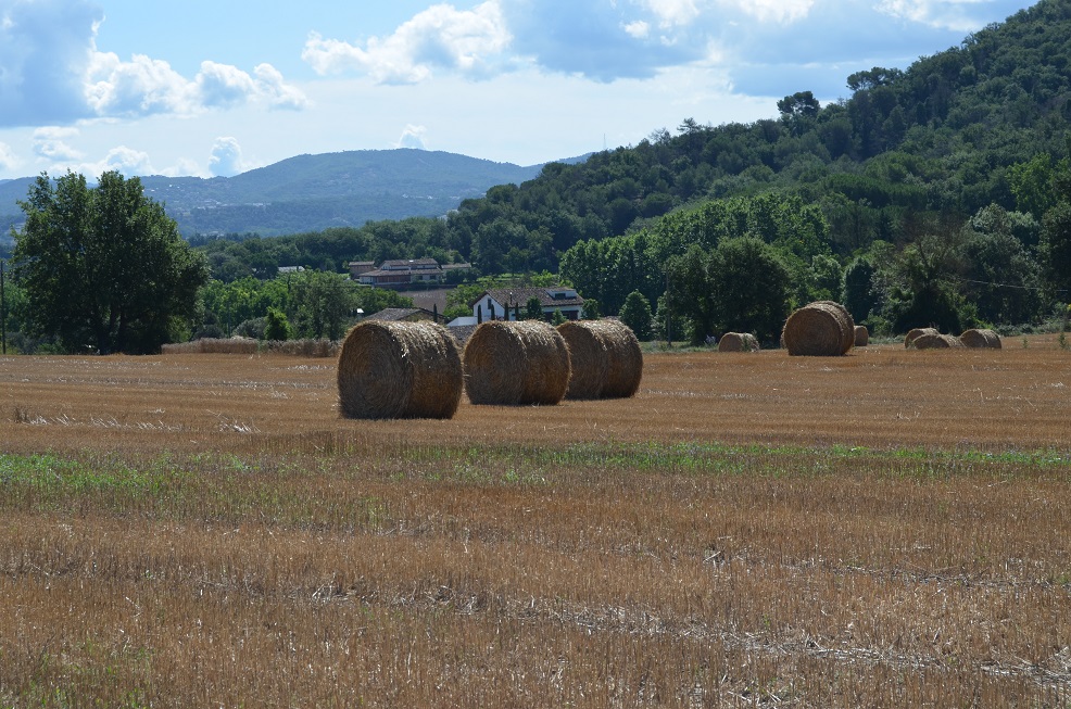 No s'ha trobat l'arxiu
